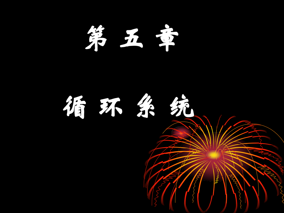循环系统n.ppt_第1页