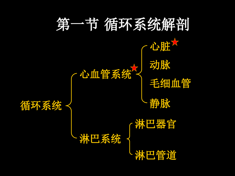 循环系统n.ppt_第2页