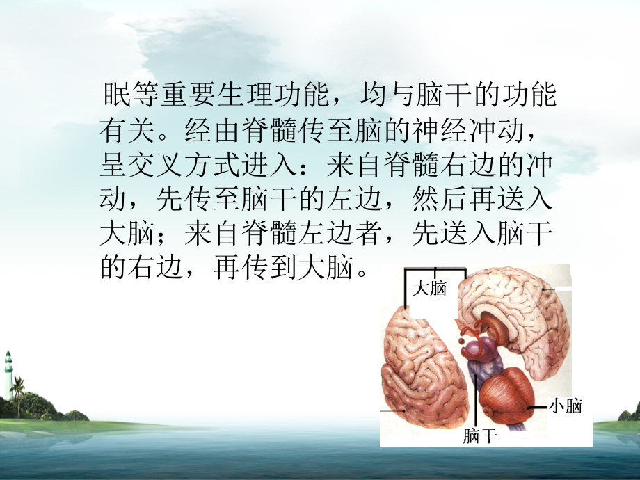 PPT医学课件胎儿头颅的超声检查讲义.ppt_第2页