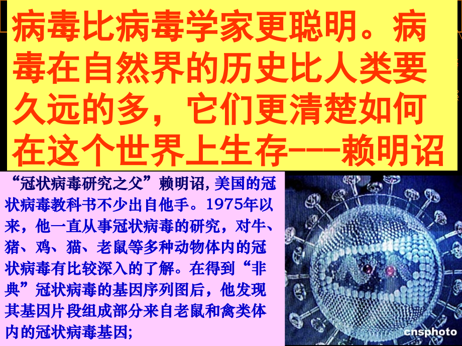 呼吸道病毒医学宣教.ppt_第1页