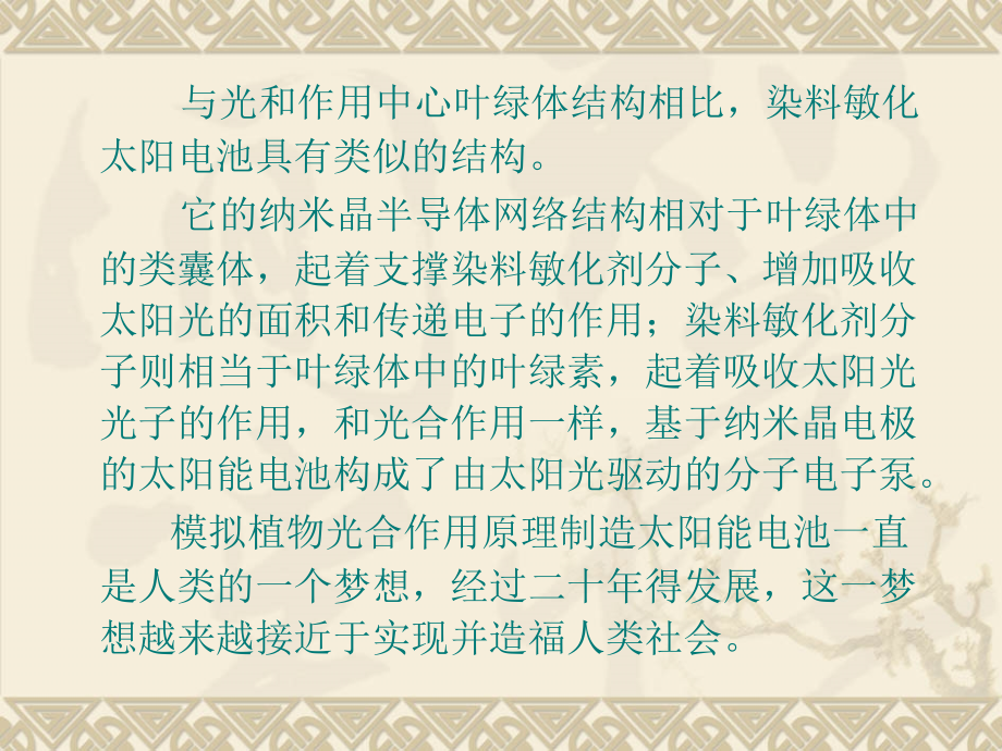 色素增感型太阳能电池.ppt_第2页