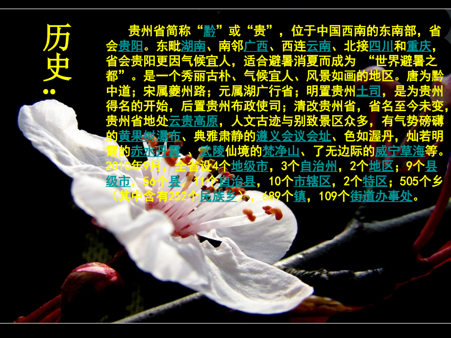 贵州印象.ppt_第2页