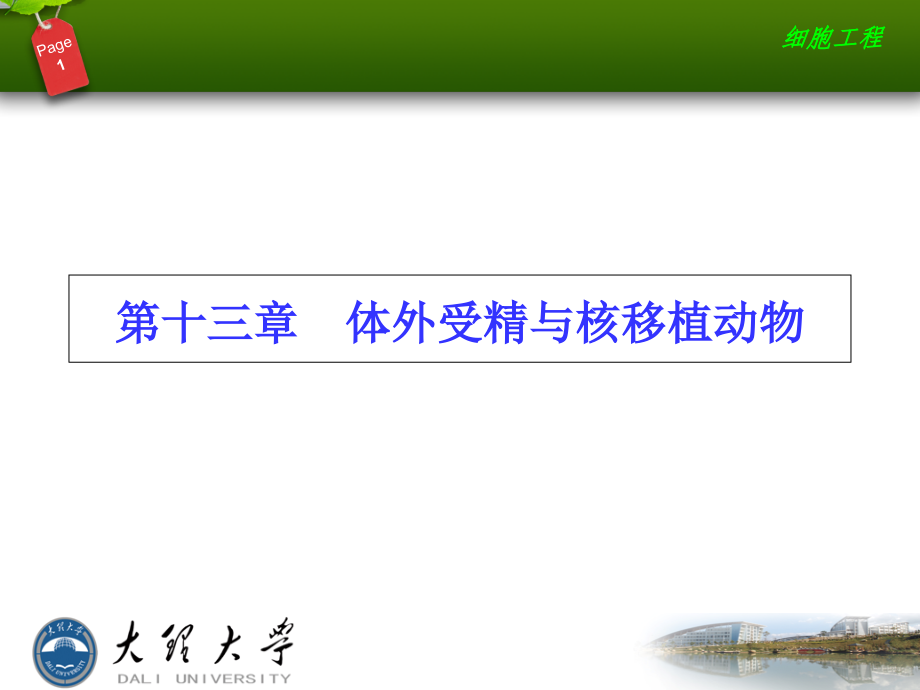 第十三章体外受精与核移植动物.ppt_第1页