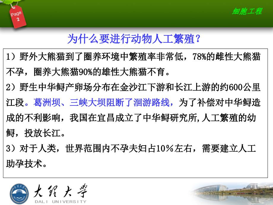 第十三章体外受精与核移植动物.ppt_第2页