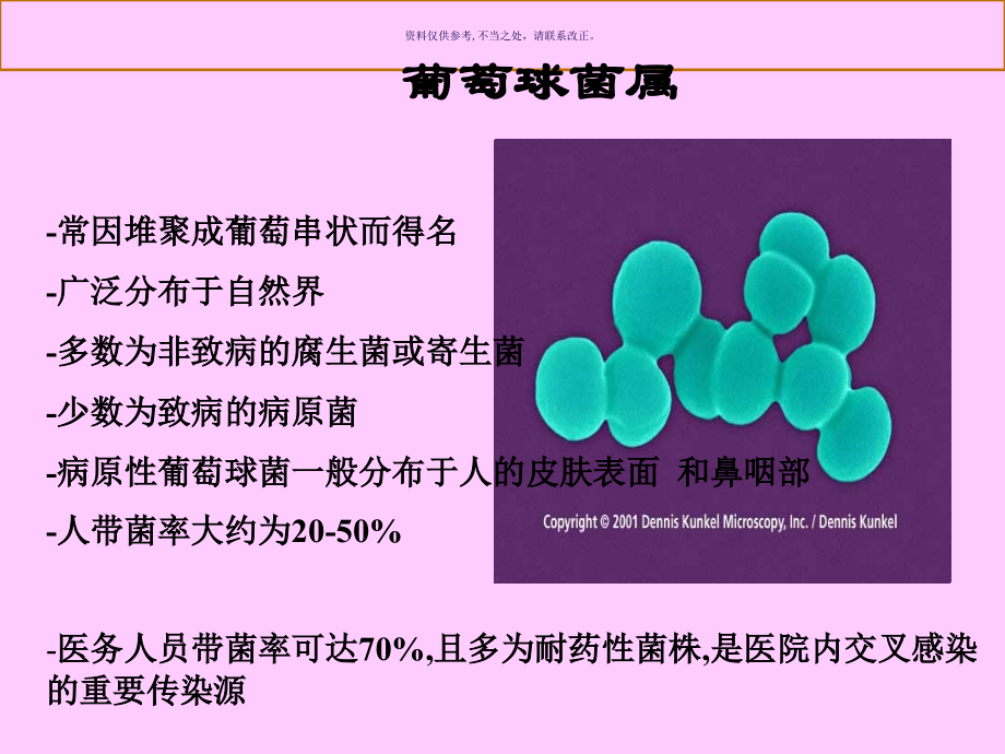 常见致病菌医学宣教.ppt_第2页