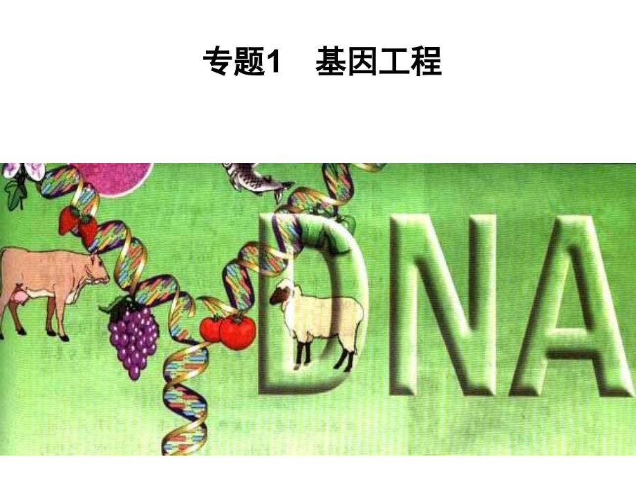 选修3专题1第1节DNA重组技术的基本工具(上课使用).ppt_第1页
