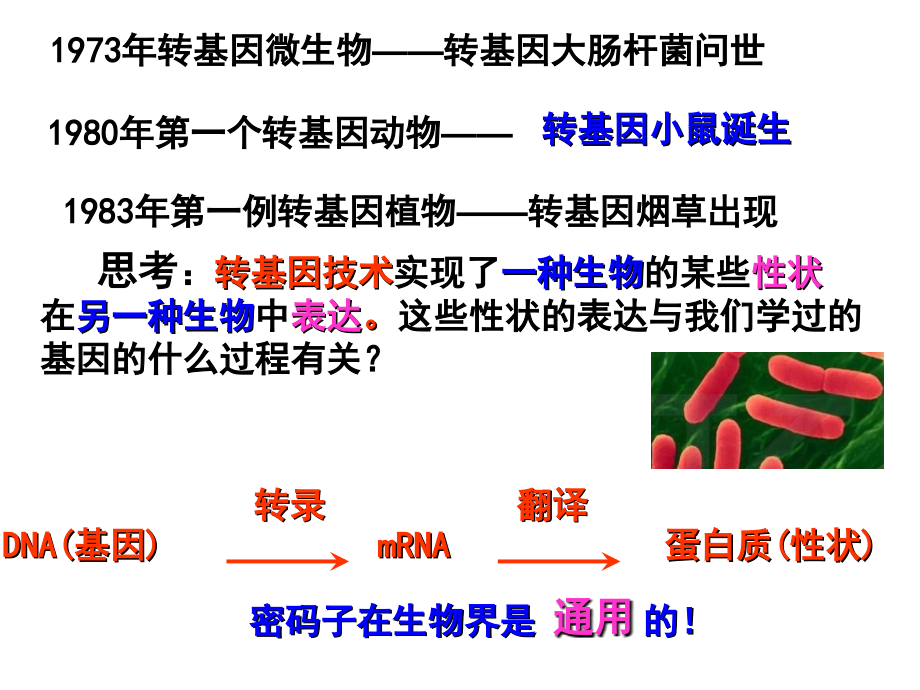 选修3专题1第1节DNA重组技术的基本工具(上课使用).ppt_第2页