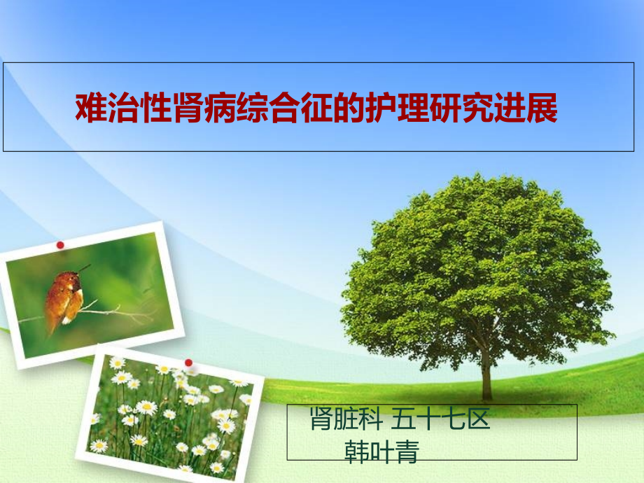 难治性肾病综合征患者的相关护理研究进展.ppt_第1页