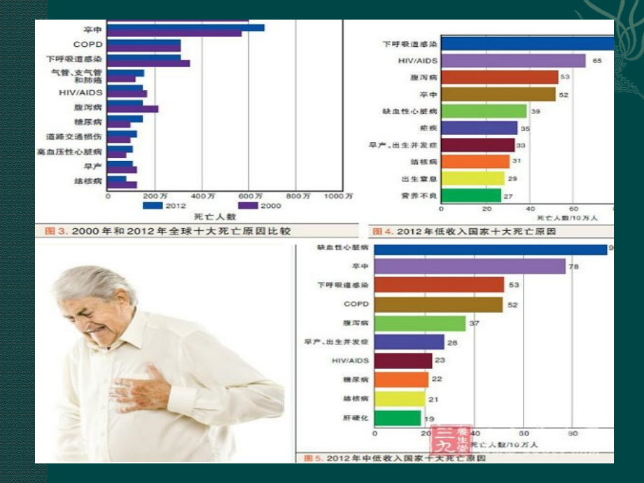 心血管活动的调节与淋巴系统.pptx_第1页