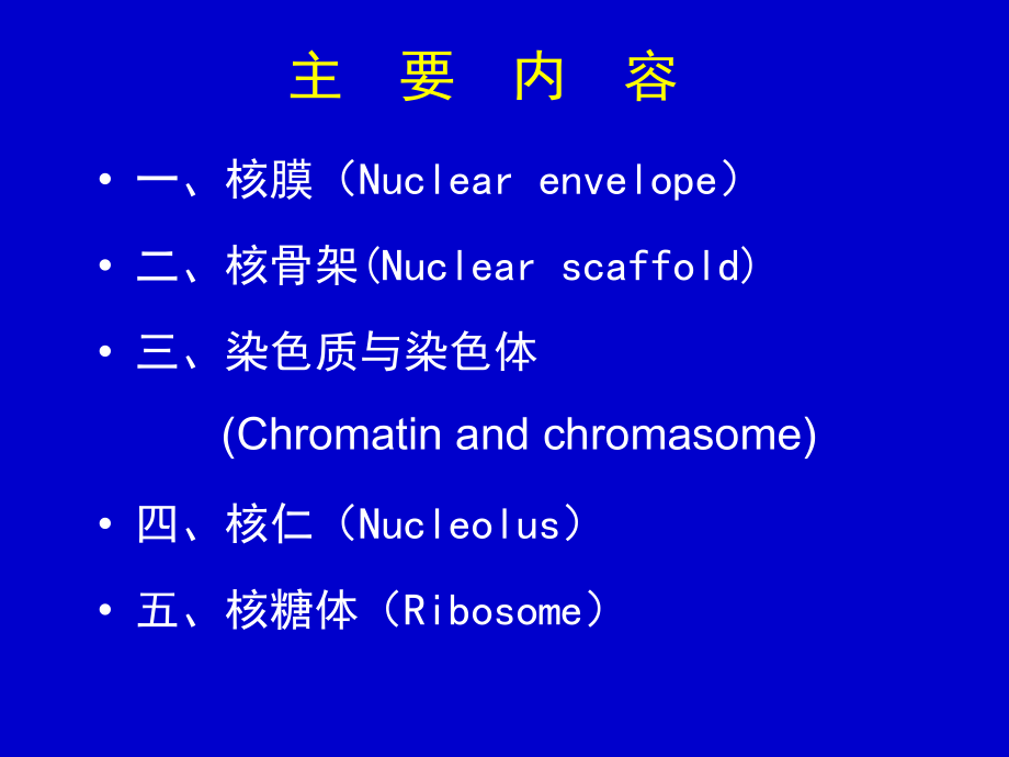 细胞核与染色质.ppt_第2页