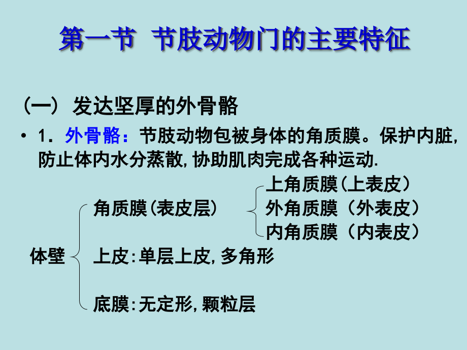 节肢动物一09.ppt_第2页