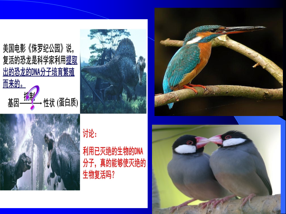 第四章第1节基因指导蛋白质的合成.ppt_第1页