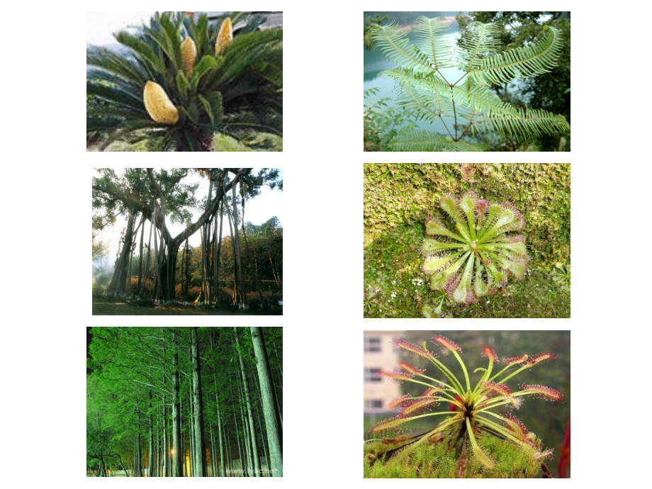 医学细胞生物学第00章绪论.ppt_第1页