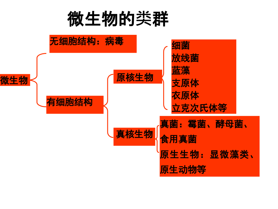 第四章发酵工程及酶工程.ppt_第1页