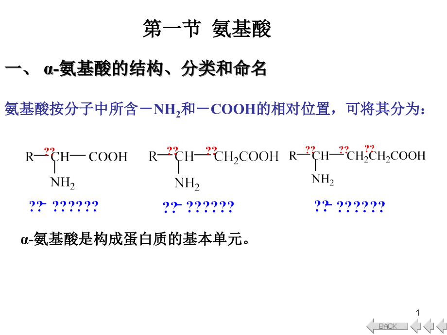 蛋白质核酸ding.ppt_第1页