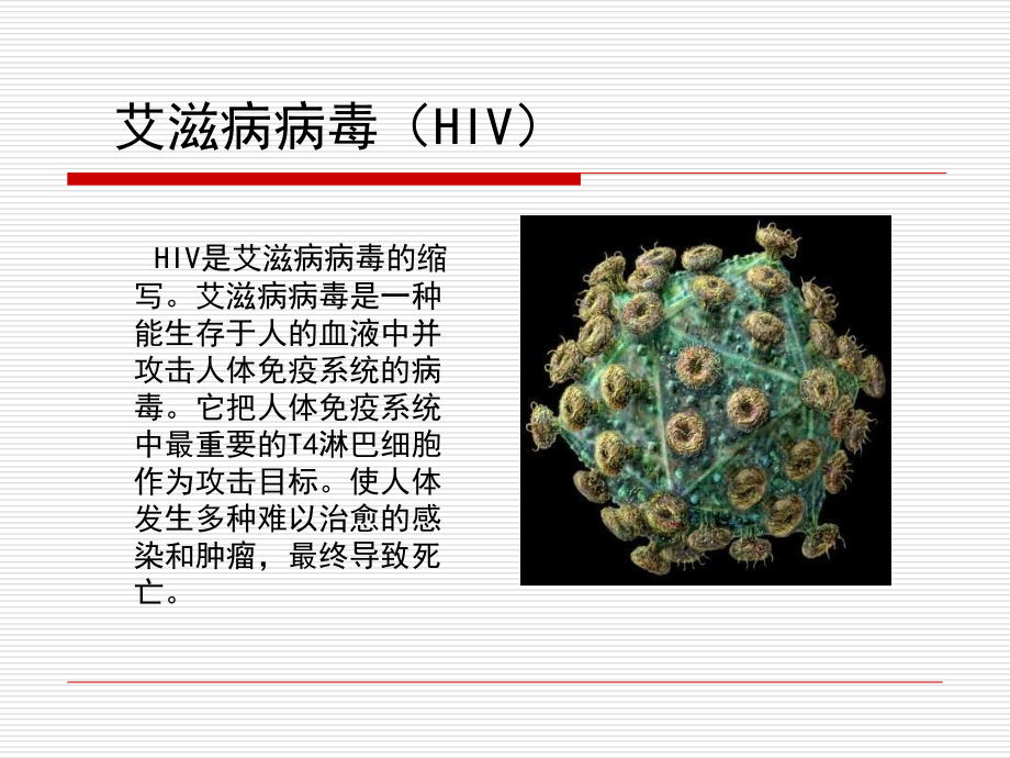 艾滋病防治知识.ppt_第2页