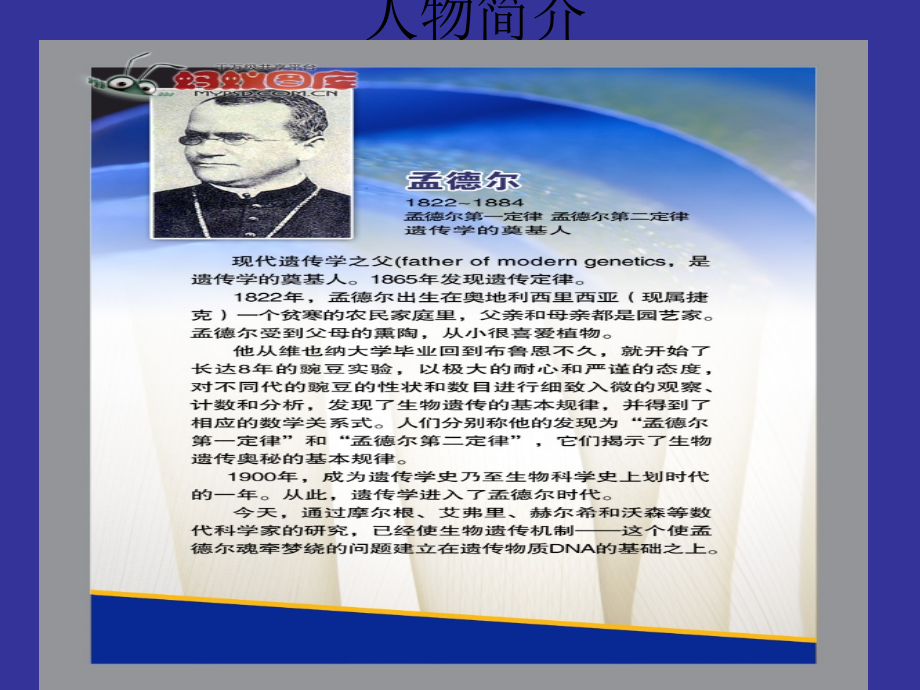 遗传学之父——孟德尔.ppt_第2页