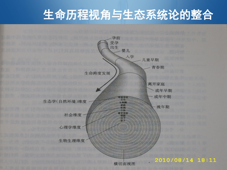 第五章学龄期.ppt_第2页