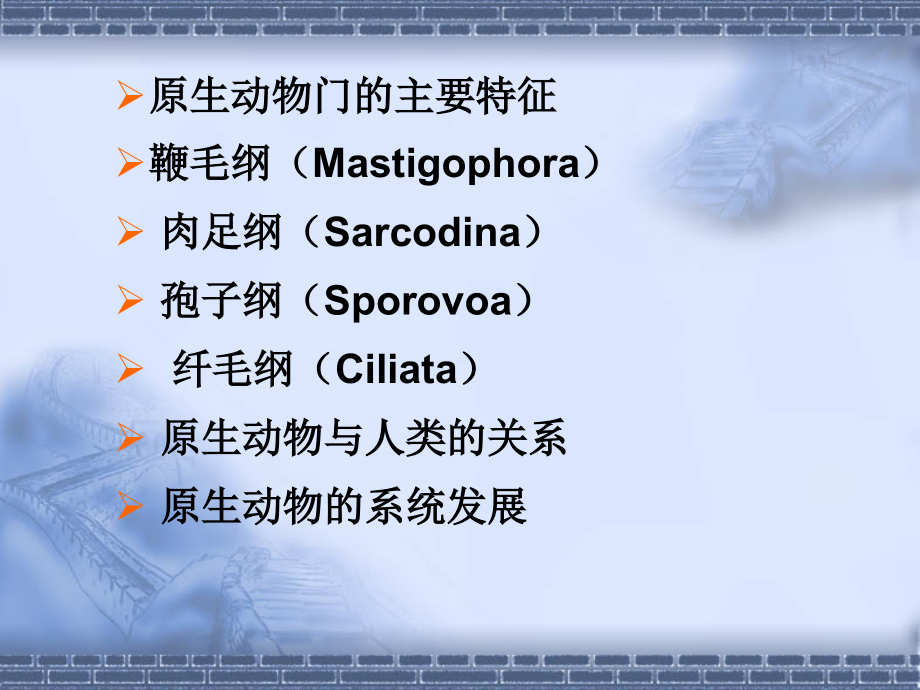 第3章原生动物.ppt_第1页