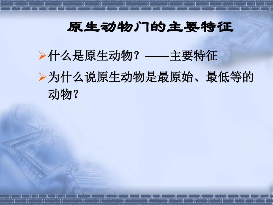 第3章原生动物.ppt_第2页