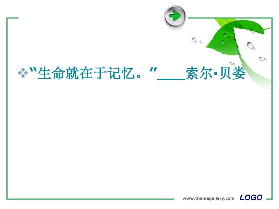 记忆(0002).ppt_第2页