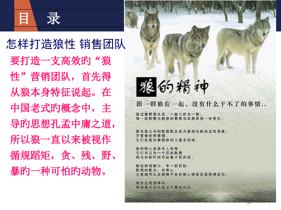 如何打造狼性销售团队专题培训课件.pptx_第2页