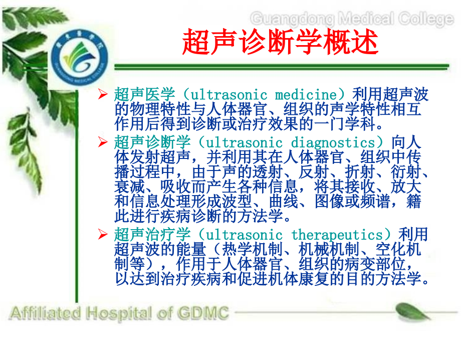 超声诊断学总论.ppt_第1页