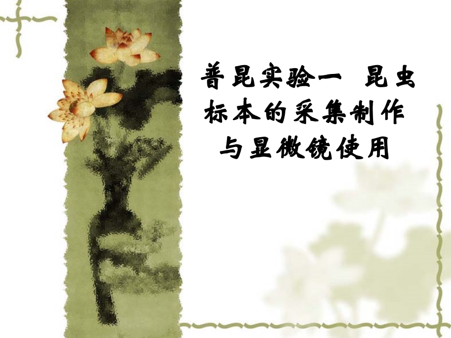 普昆实验一昆虫标本的采集制作与显微镜使用.ppt_第1页