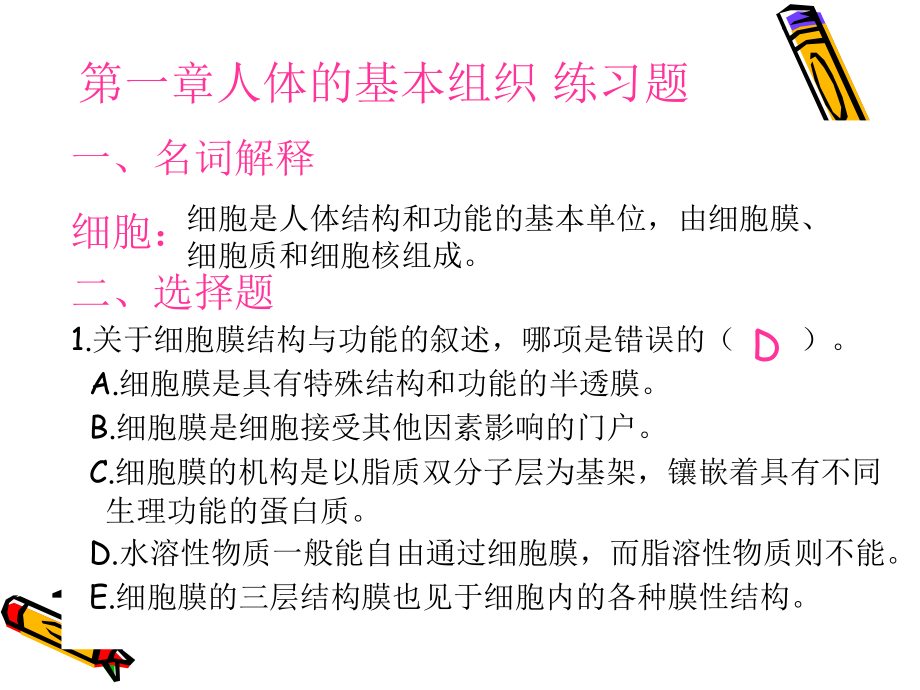 重点人体解剖生理学课堂.ppt_第2页