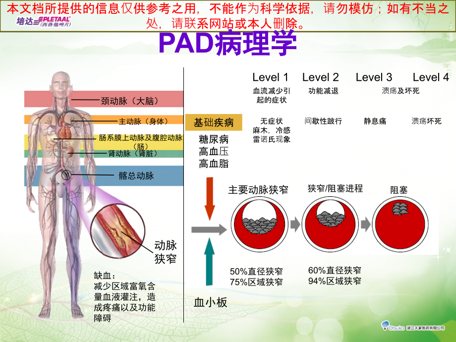 周围血管疾病PAD培训课件.ppt_第2页