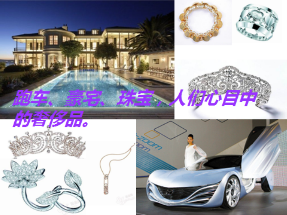 谁在消费昂贵品：奢侈品消费群调查.ppt_第2页