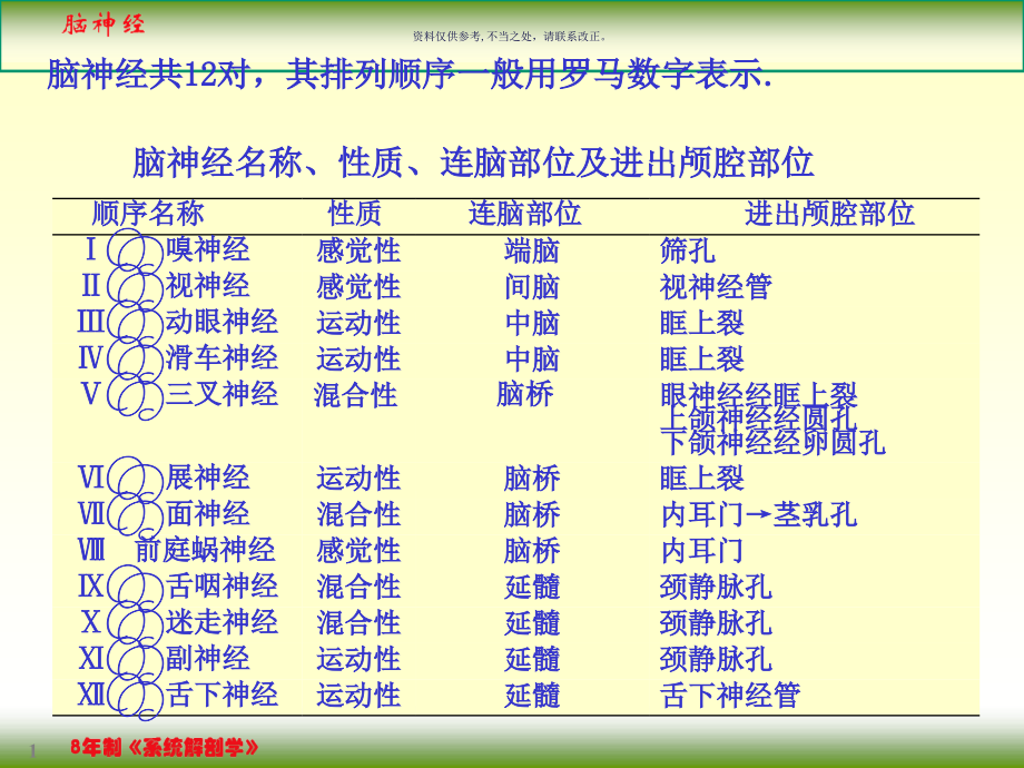 周围神经系统.ppt_第1页