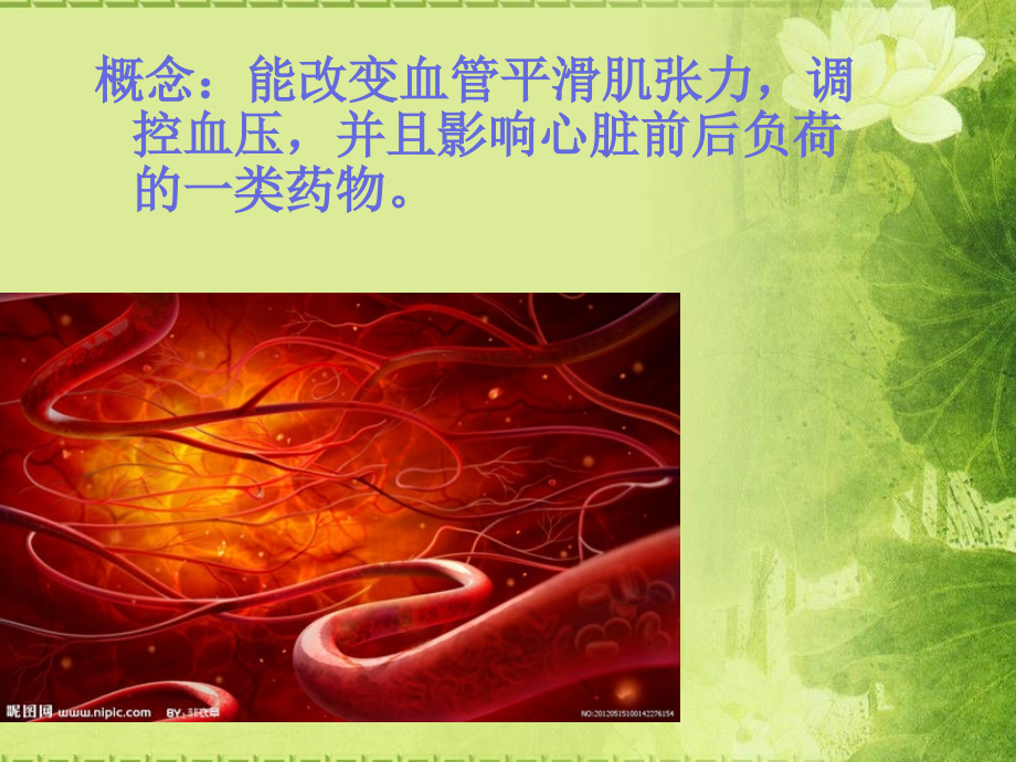 血管活性药物小讲课.ppt_第2页