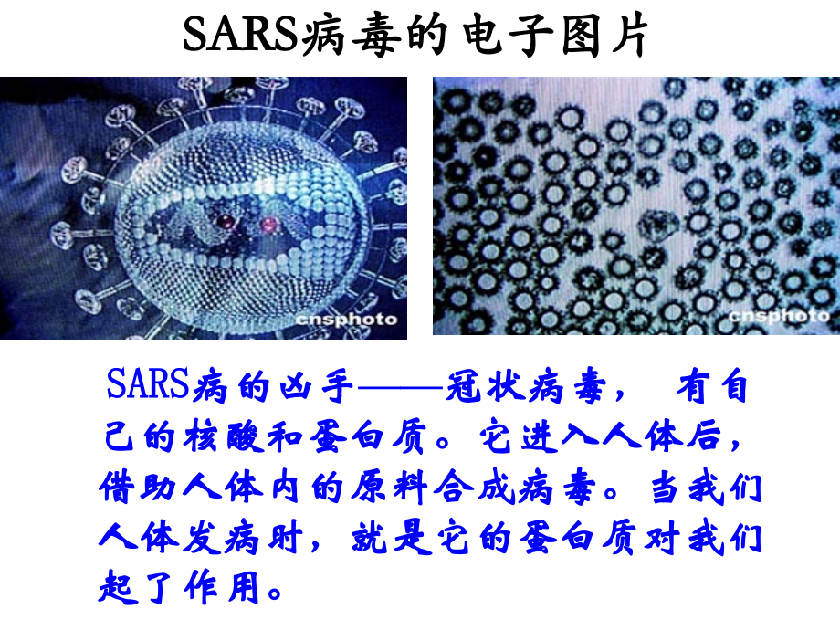 选修5第四章第三节蛋白质和核酸1.ppt_第1页