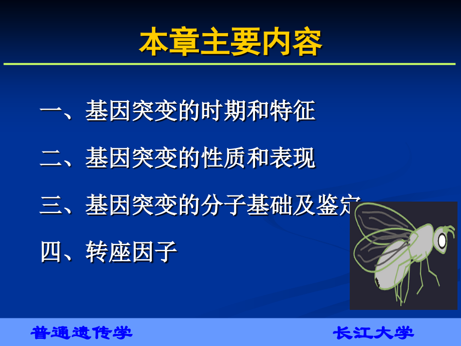 长江大学遗传学第十章基因突变.ppt_第2页