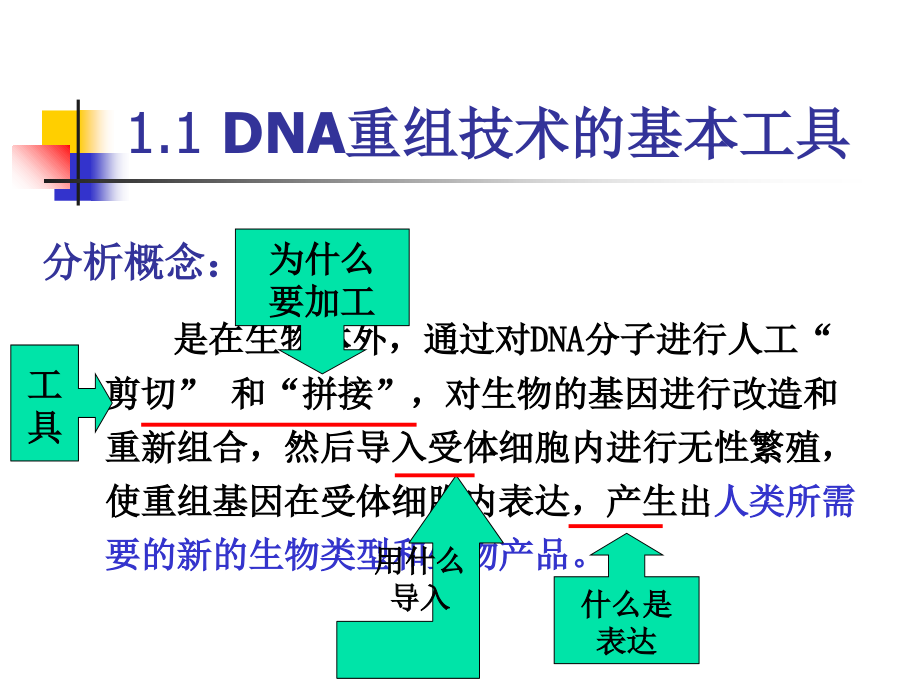 选修三专题1基因工程.ppt_第2页