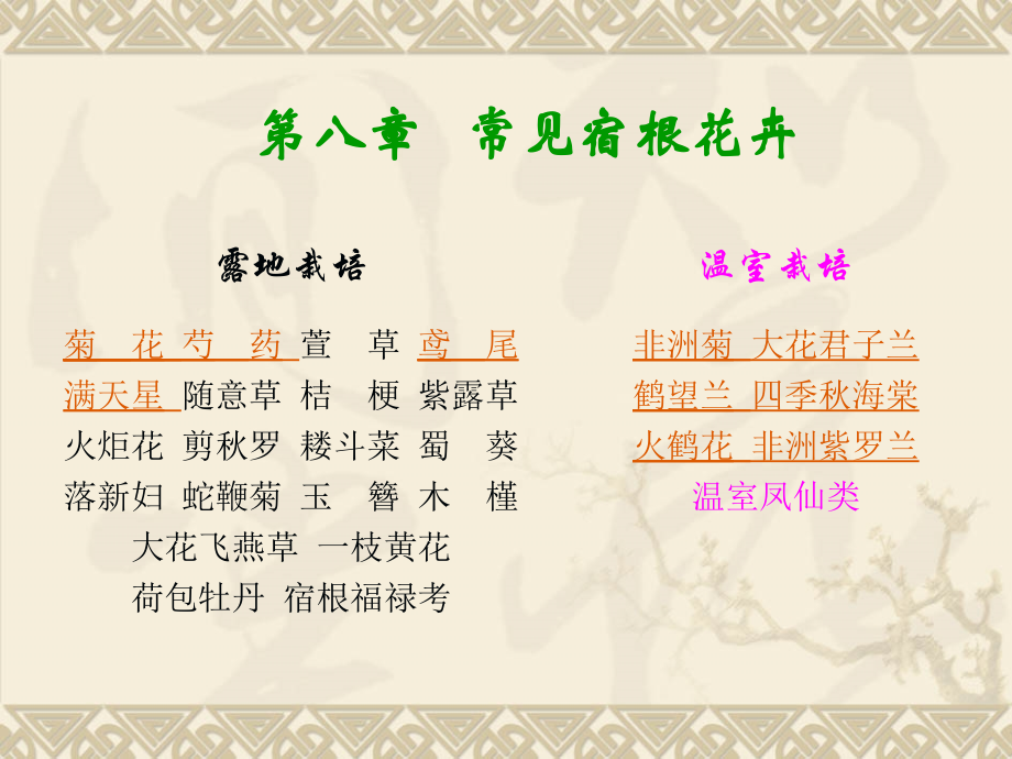 常见宿根花卉.pptx_第1页