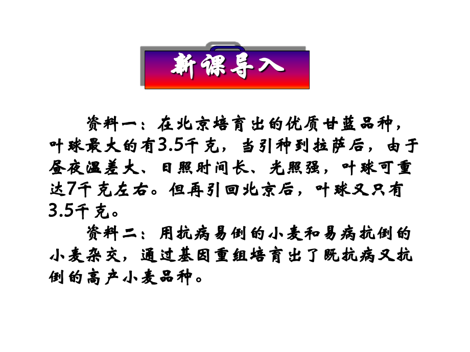 第1节基因突变与基因重组.ppt_第1页