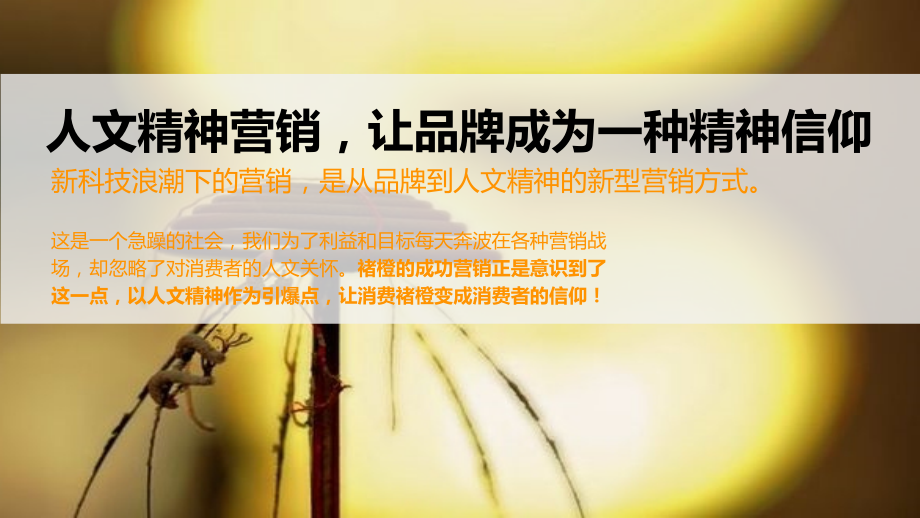褚橙品牌营销案例分析人文精神的营销革命页专题课件.ppt_第2页