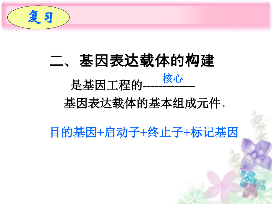 选修3专题一第三节：基因工程的应用.ppt_第2页