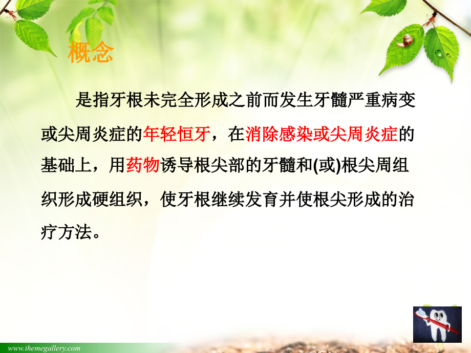 根尖诱导.ppt_第1页
