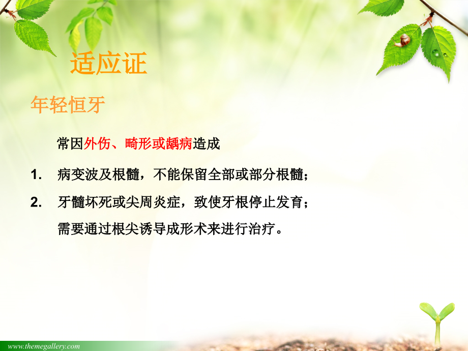 根尖诱导.ppt_第2页