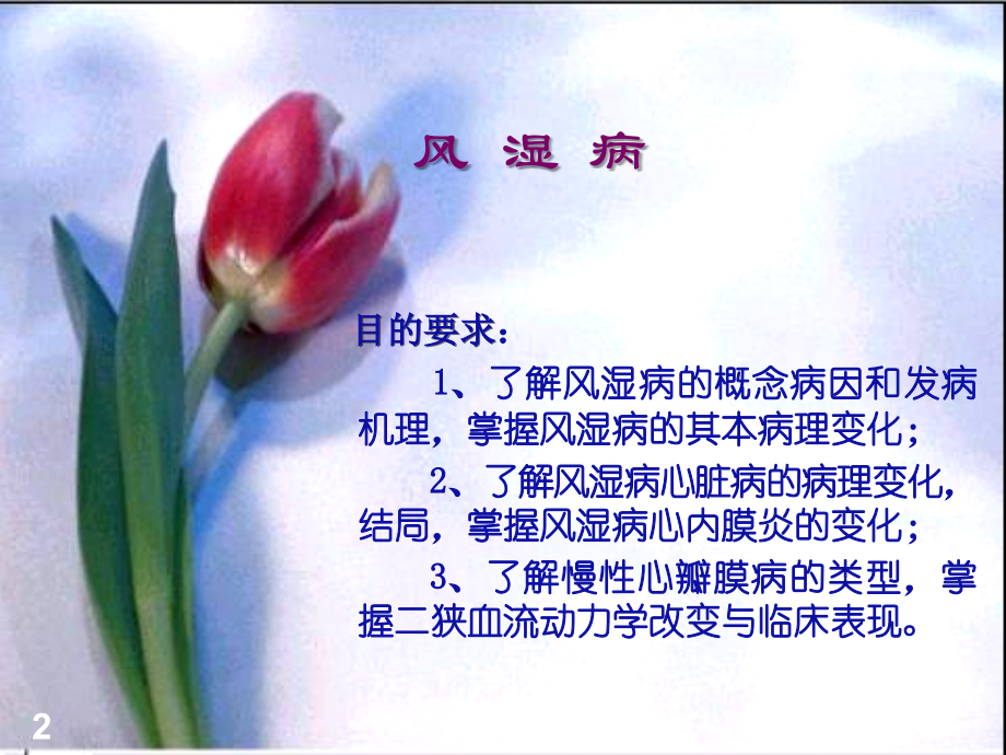 第四节风湿病.ppt_第2页