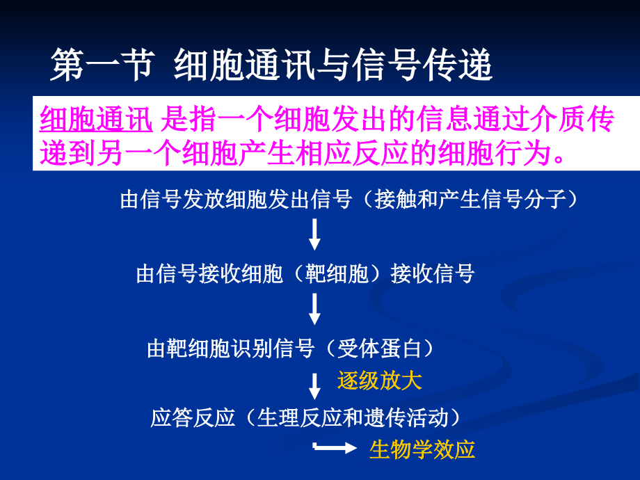 细胞生物学第8章1.ppt_第2页