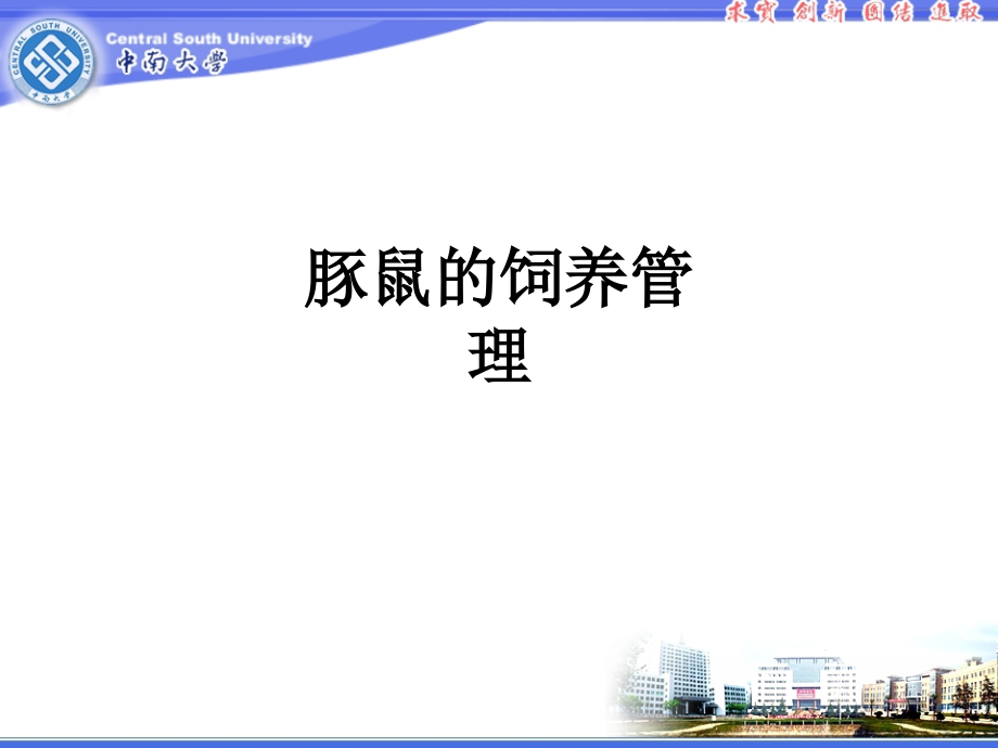 豚鼠的饲养管理.ppt_第1页