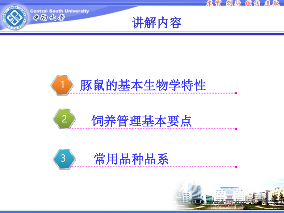 豚鼠的饲养管理.ppt_第2页