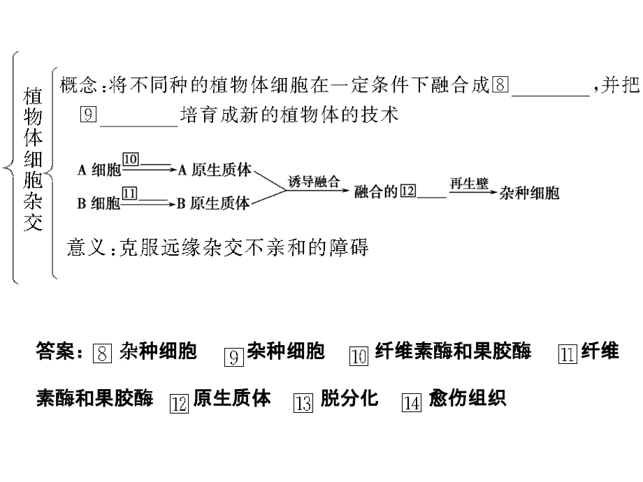 选修3专题二克隆技术(一轮复习).ppt_第1页