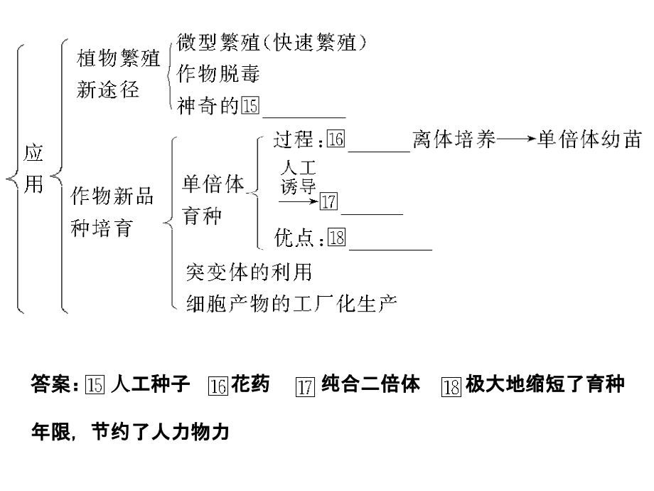选修3专题二克隆技术(一轮复习).ppt_第2页