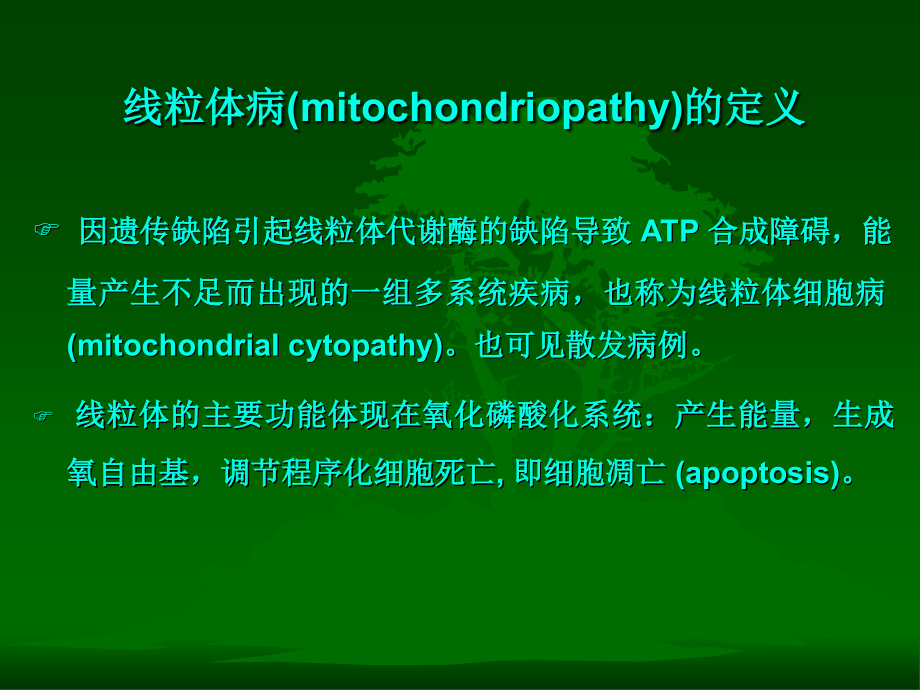 线粒体脑疾病.ppt_第2页
