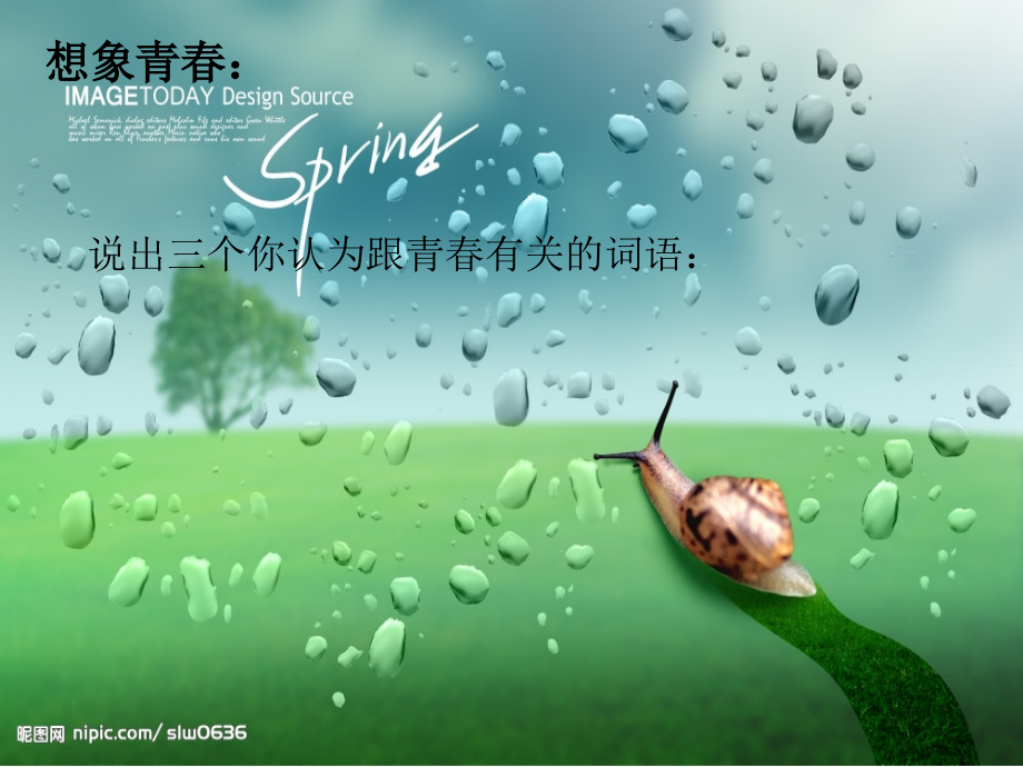 走好青春第一步主题班会.ppt_第2页